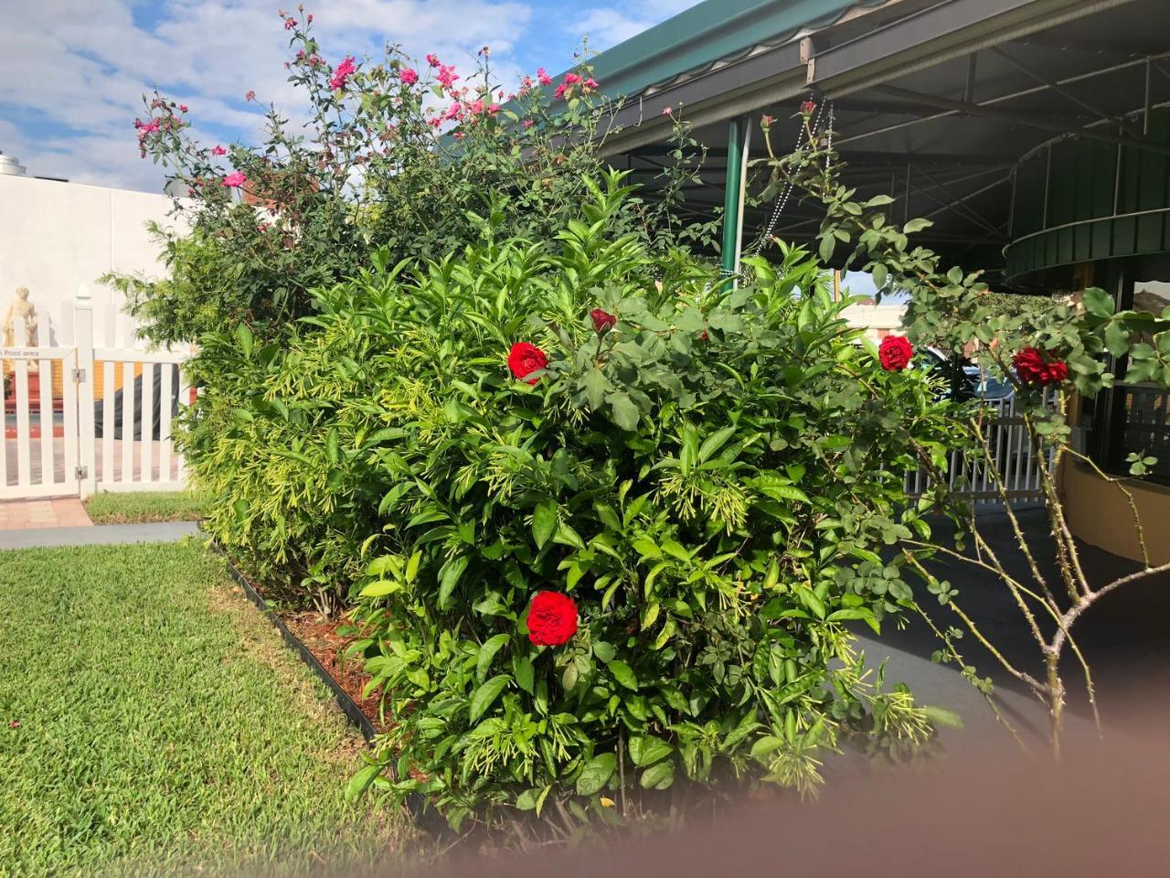 Bali Hai Motel Fort Lauderdale Exterior photo